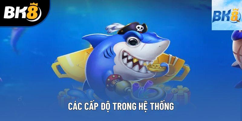 Các cấp độ trong hệ thống